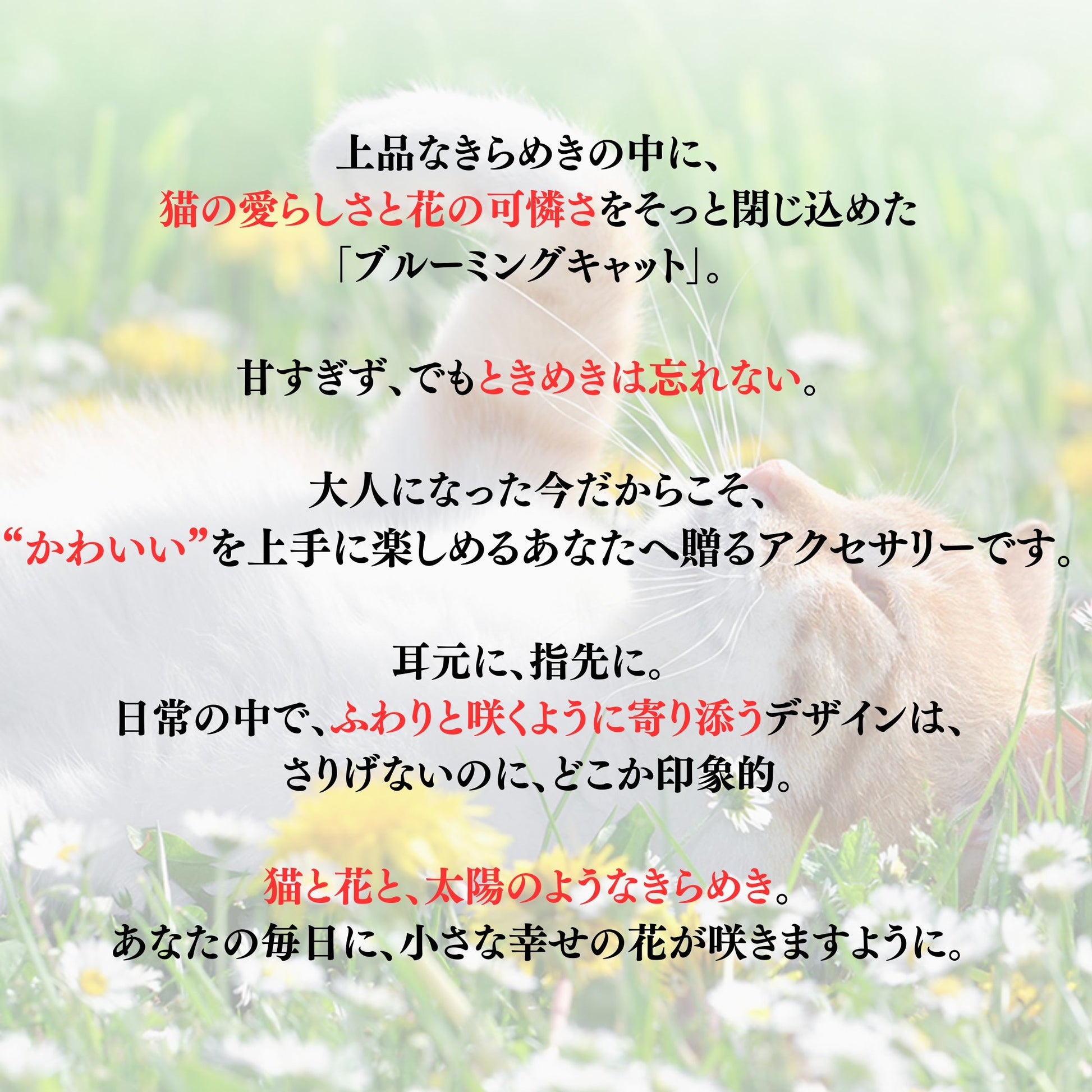 花畑に寝そべる猫を背景にしたブランドコピー画像。「上品なきらめきの中に、猫の愛らしさと花の可憐さをそっと閉じ込めた『ブルーミングキャット』。甘すぎず、でもときめきは忘れない。耳元に、指先に、ふわりと咲くように寄り添うデザイン」の文字