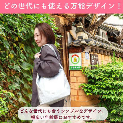 「どの世代にも使える万能デザイン」。韓国の伝統家屋の前でシルバーのバッグを肩掛けする女性、シンプルなデザインで幅広い年齢層におすすめと紹介