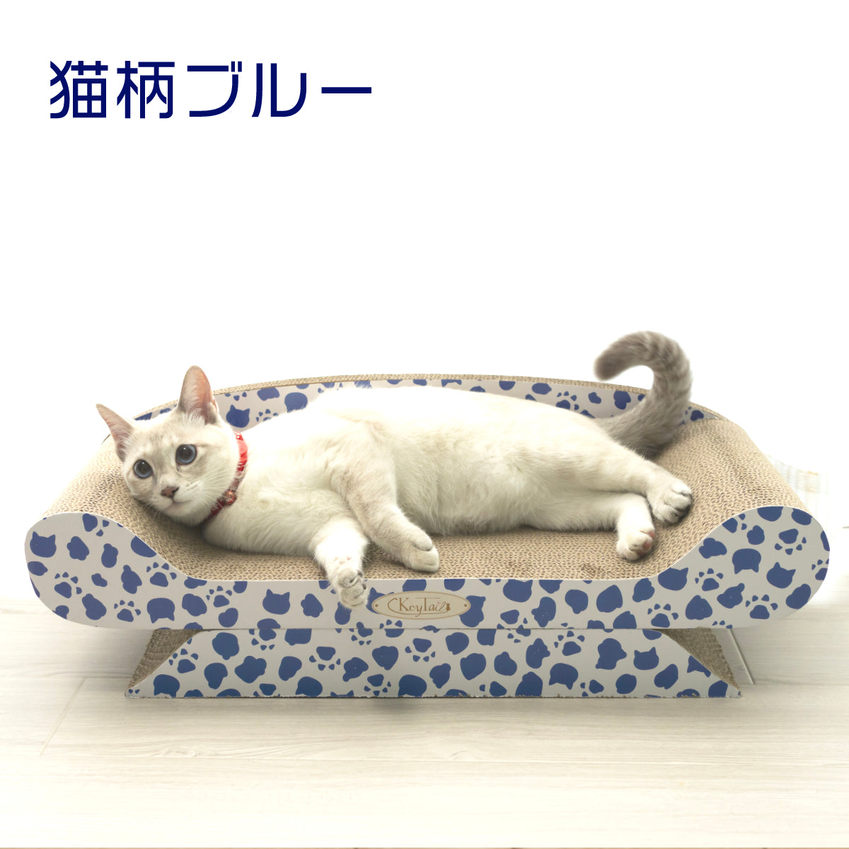 cats & 人気 lezard 家具