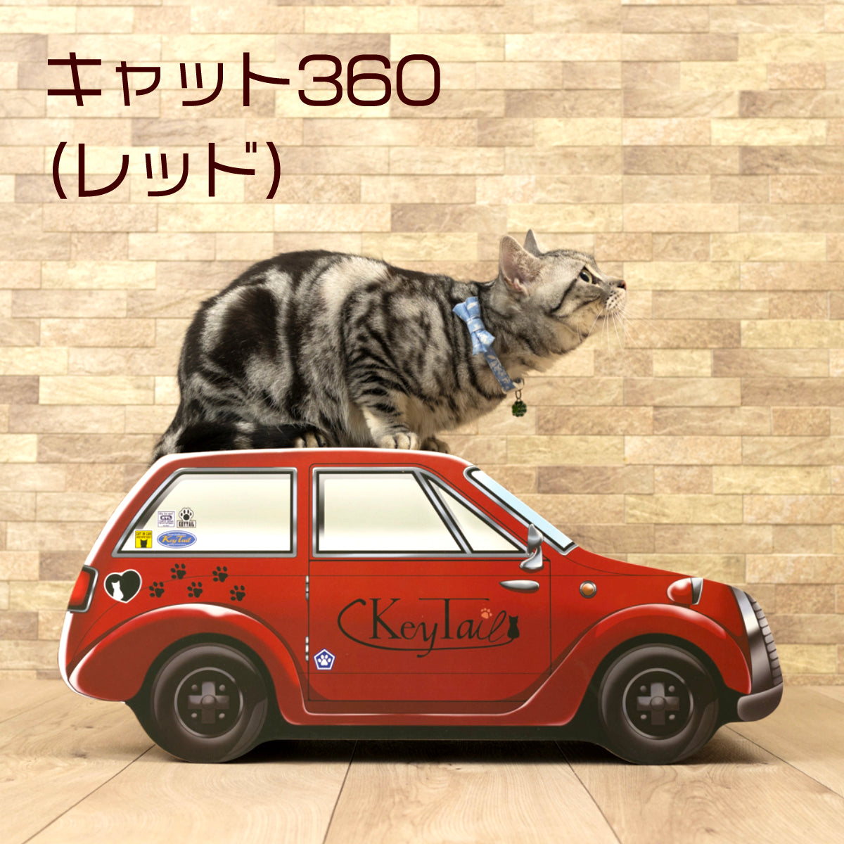 にゃんクーパー　(キャット360/R-3)