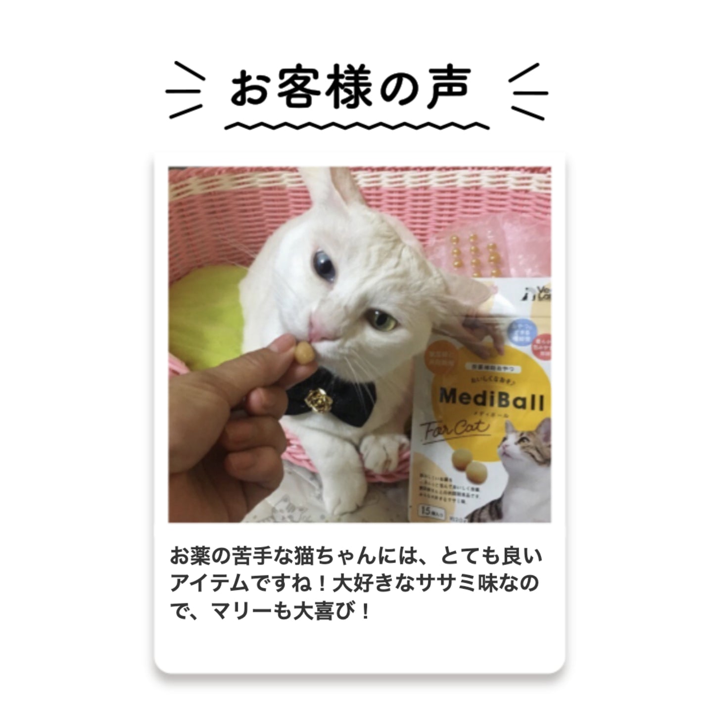 メディボール 猫用 かつお味 15個入り