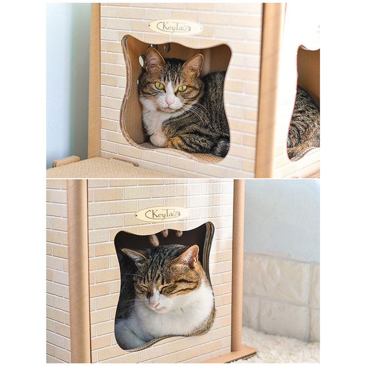 中で猫がくつろげます。