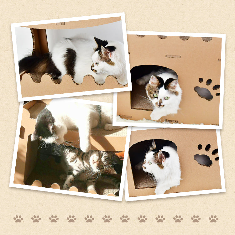 多頭飼いにぴったりのねこの家です。