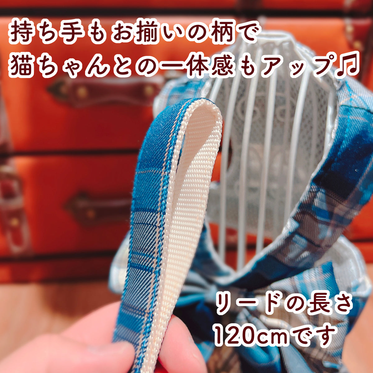 本体とお揃い柄のリードの持ち手部分クローズアップ。「持ち手もお揃いの柄で猫ちゃんとの一体感もアップ♪」「リードの長さ120cmです」の文字を表記
