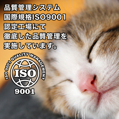 ねこマンション