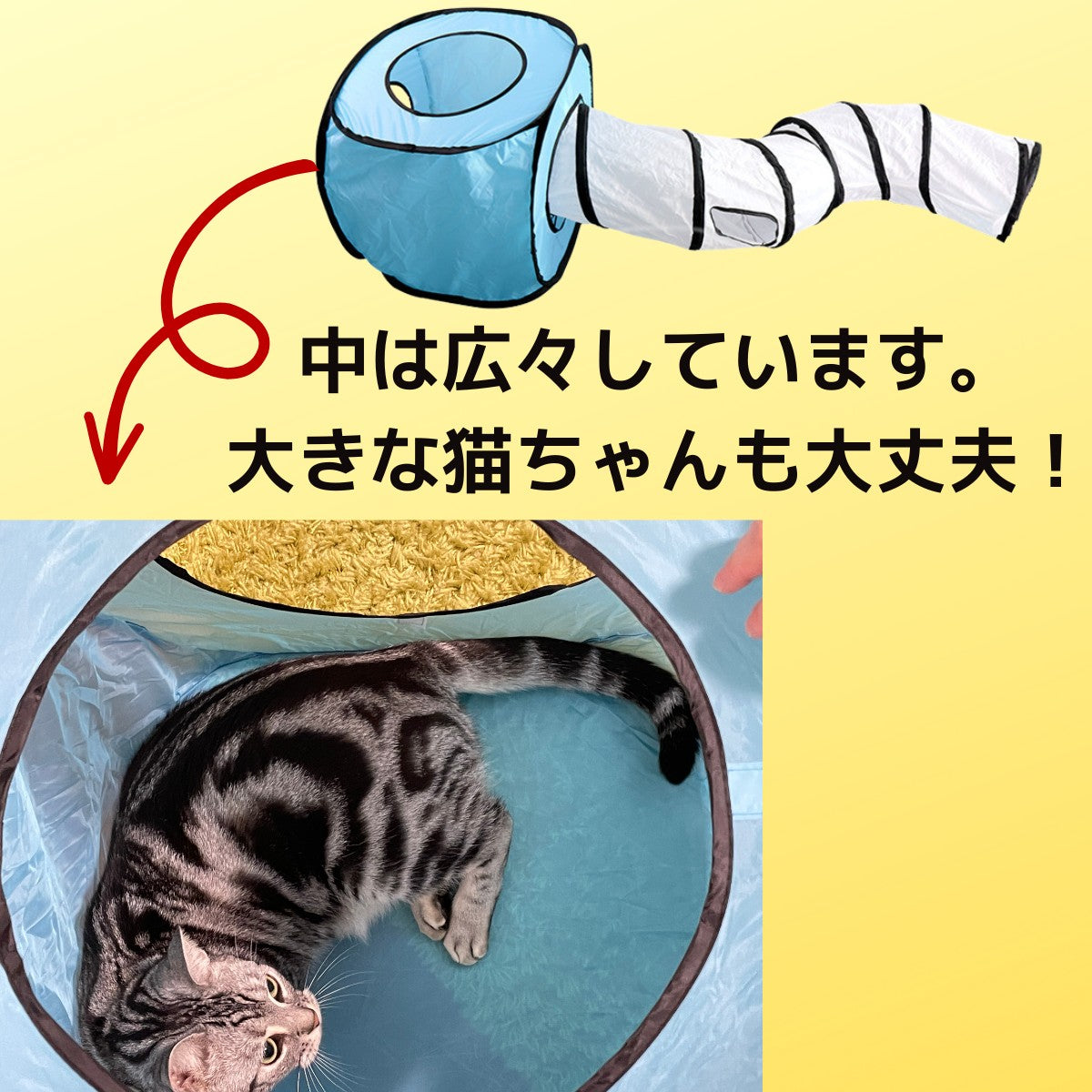 ハッスル トンネル＆ハウス