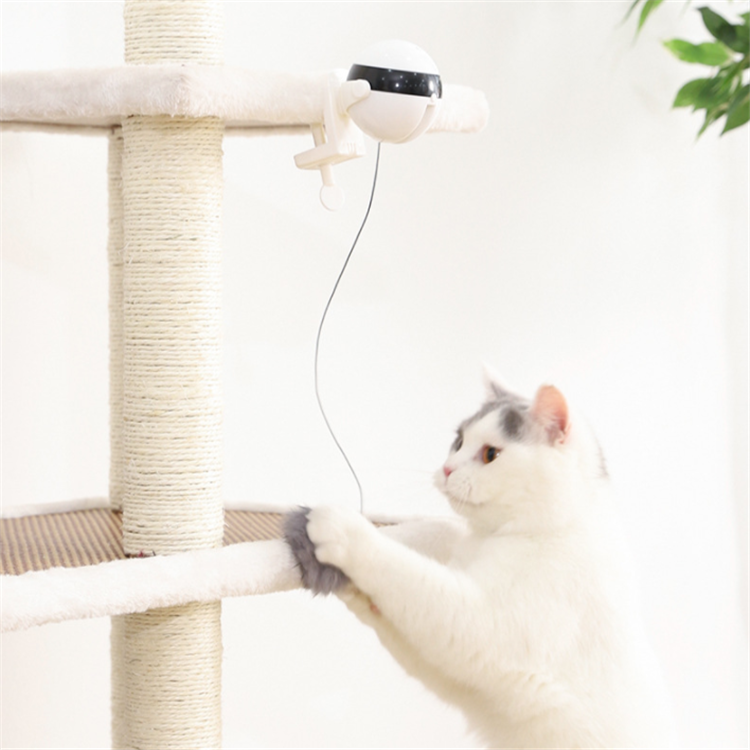 キャットタワーの支柱にクリップ固定した様子。垂れたひもに向かって白黒猫が段の上から前足を伸ばしている