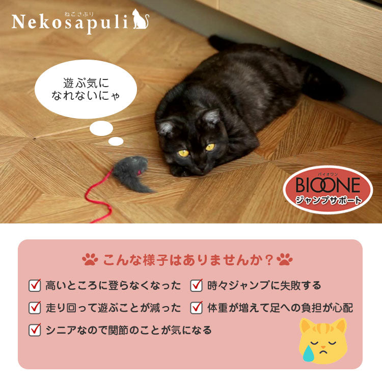 ねこさぷり バイオワン ジャンプサポート