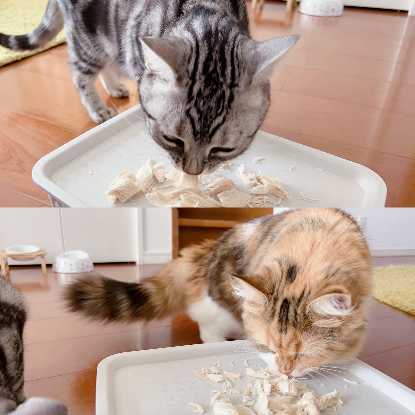 ママクック フリーズドライのササミ猫用 30g