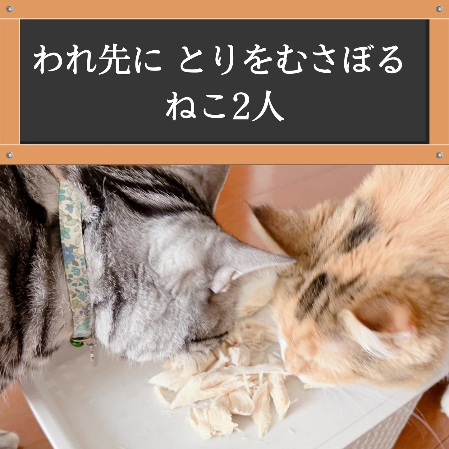 ママクック フリーズドライのササミ猫用 150g 4個セット